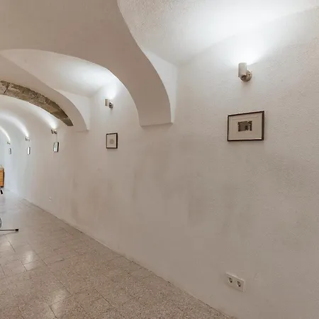 Lotrist * Radovljica